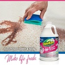 Odoban 3 in 1 Carpet Cleaner