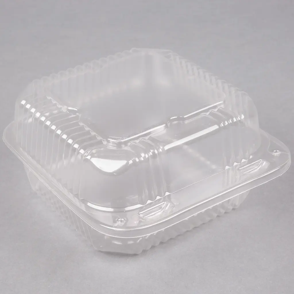 6" Hinged Plastic Container