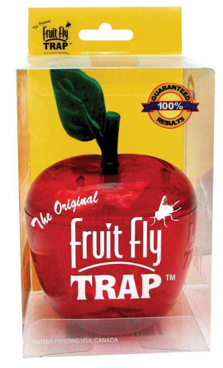 Fruit Fly Trap