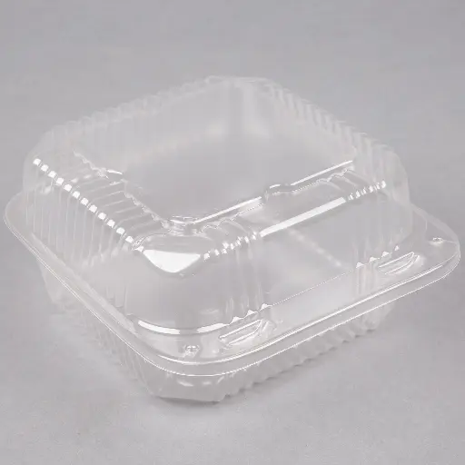 6" Hinged Plastic Container